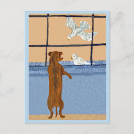 Dachshund bij raam die witte duiven bekijkt briefkaart