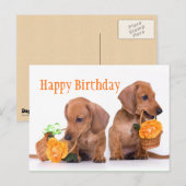 Dachshund Birthday Briefkaart (Voorkant / Achterkant)