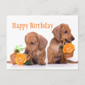 Dachshund Birthday Briefkaart (Voorkant)