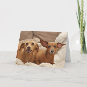 Dachshund Birthday Card by Focus for a Oorzaak Kaart