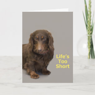 Dachshund Birthday Card Kaart