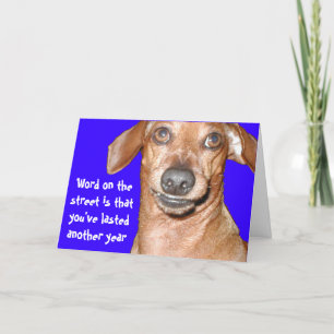 Dachshund Birthday Card Kaart