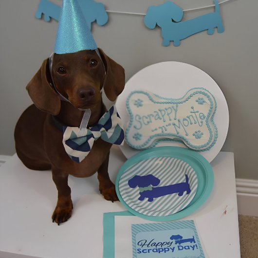 Dachshund Blauw Wiener Dog Party Papier Borden Papieren Bordje