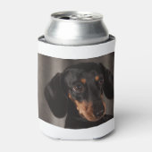 Dachshund Blikjeskoeler (Blikje Voorkant)