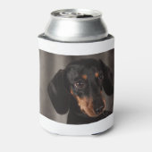 Dachshund Blikjeskoeler (Blikje Achterkant)