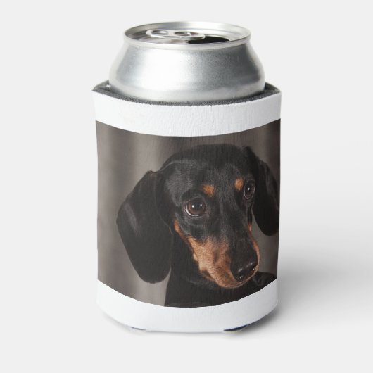 Dachshund Blikjeskoeler (Blikje Achterkant)