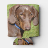 Dachshund Blikjeskoeler (Achterkant)
