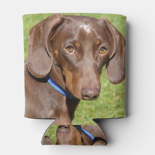 Dachshund Blikjeskoeler (Achterkant)
