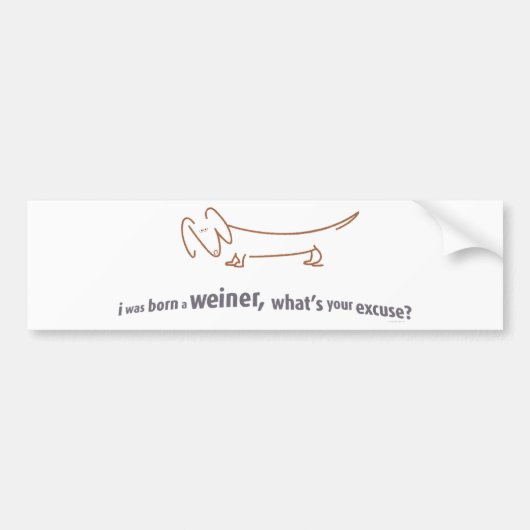 Dachshund. Born Weiner. Bumpersticker (Voorkant)
