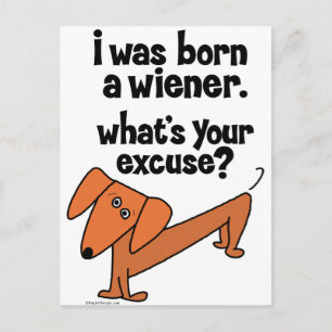 Dachshund Born Wiener Briefkaart