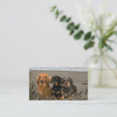 Dachshund Breeder Visitekaartje (Staand voorkant)
