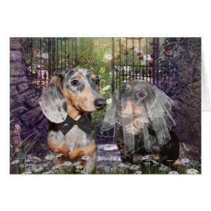 Dachshund bride en groom