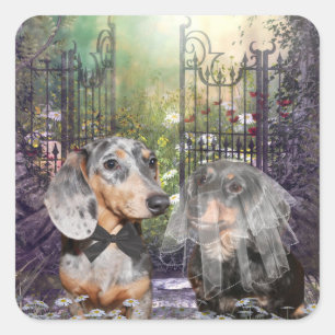 Dachshund bride en groom vierkante sticker