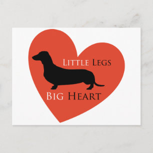 Dachshund Briefkaart