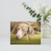 Dachshund Briefkaart (Staand voorkant)