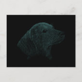 Dachshund Briefkaart (Voorkant)