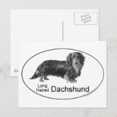 Dachshund Briefkaart (Voorkant / Achterkant)