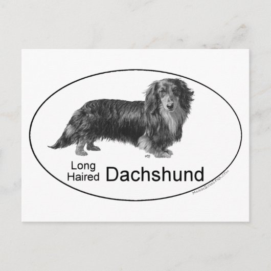 Dachshund Briefkaart (Voorkant)