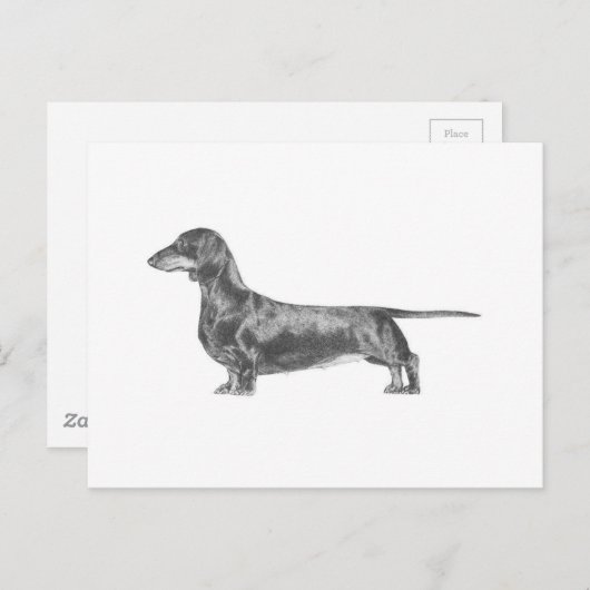 Dachshund Briefkaart (Voorkant / Achterkant)