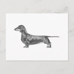 Dachshund Briefkaart