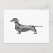 Dachshund Briefkaart (Voorkant)