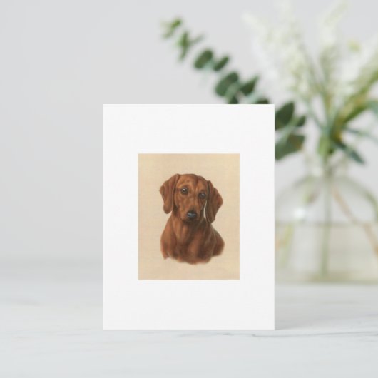 Dachshund Briefkaart (Staand voorkant)