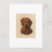 Dachshund Briefkaart (Voorkant)