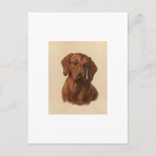 Dachshund Briefkaart (Voorkant)