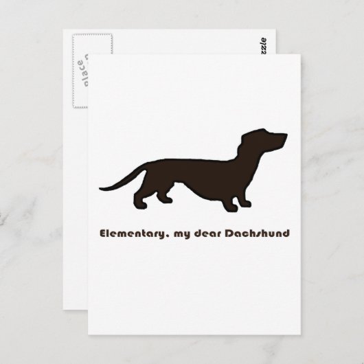 Dachshund Briefkaart (Voorkant / Achterkant)