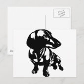 Dachshund Briefkaart (Voorkant / Achterkant)