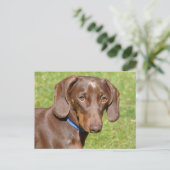 Dachshund Briefkaart (Staand voorkant)