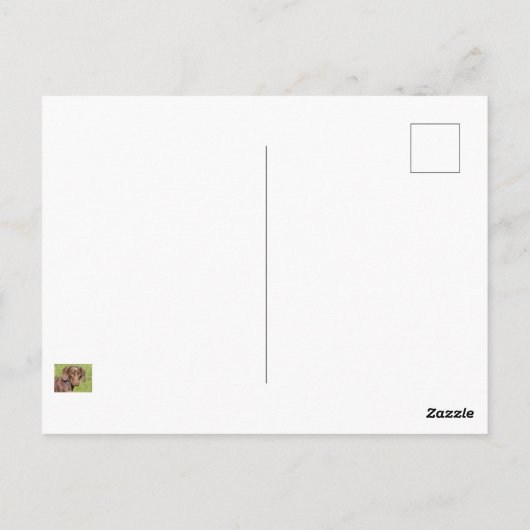 Dachshund Briefkaart (Achterkant)