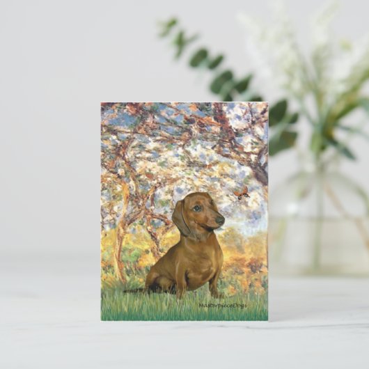Dachshund (brown1) - Lente Briefkaart (Staand voorkant)