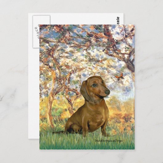Dachshund (brown1) - Lente Briefkaart (Voorkant / Achterkant)