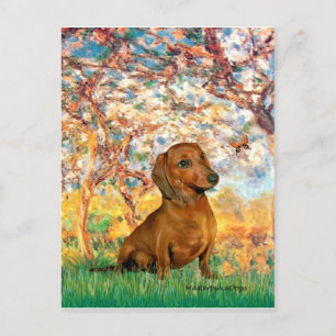 Dachshund (brown1) - Lente Briefkaart