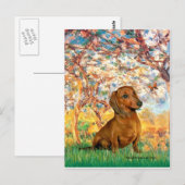 Dachshund (bruin1) - Lente Briefkaart (Voorkant / Achterkant)