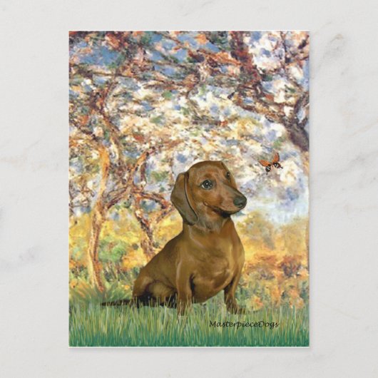 Dachshund (bruin1) - Lente Briefkaart (Voorkant)