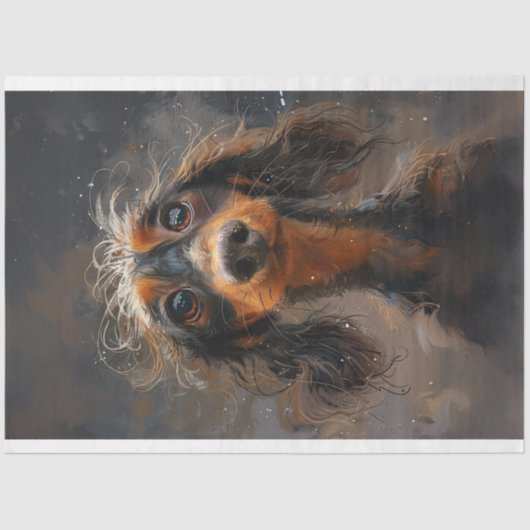 Dachshund Buddy Wigglesworth Hond Decoupage Tissuepapier (Voorkant)