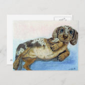 Dachshund-buik Briefkaart (Voorkant / Achterkant)
