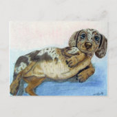 Dachshund-buik Briefkaart (Voorkant)