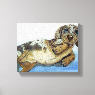Dachshund-buik Canvas Afdruk