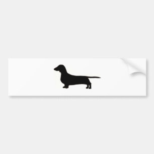 dachshund bumpersticker