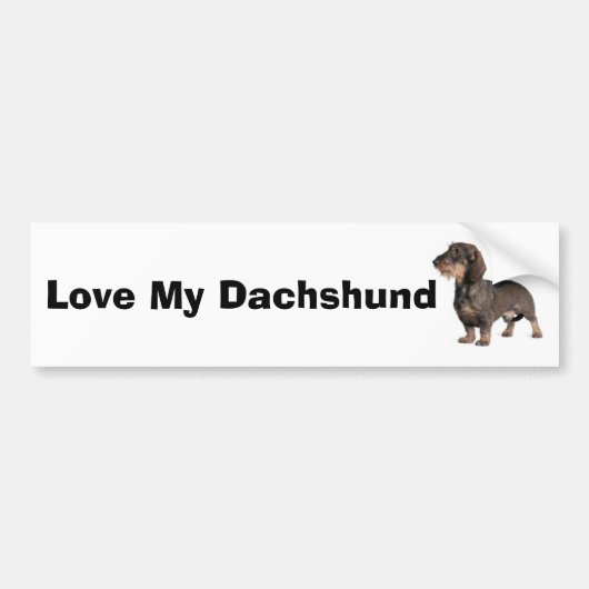 Dachshund Bumpersticker (Voorkant)