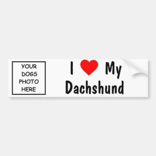 Dachshund Bumpersticker