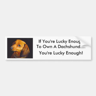 Dachshund-Bumpersticker Bumpersticker
