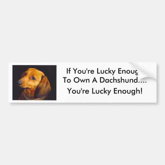 Dachshund-Bumpersticker Bumpersticker (Voorkant)