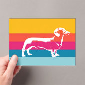 Dachshund by colorful stripes acryl uitnodigingen (Insitu (Draagbaar))