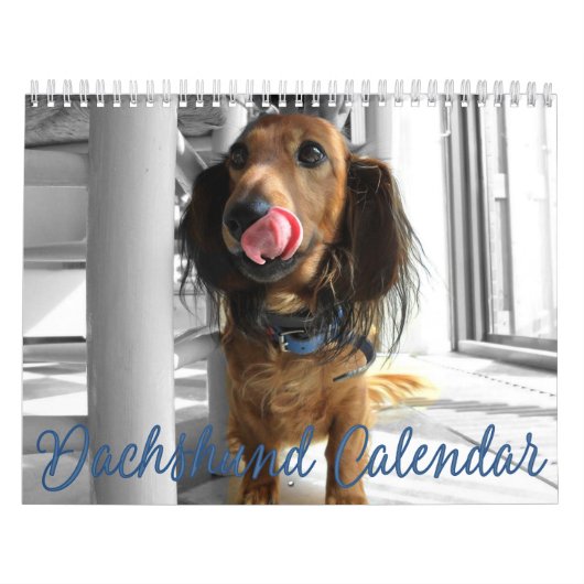 Dachshund Calendar 2023 Gepersonaliseerd Foto's Kalender (Hoes)