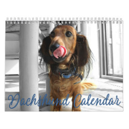 Dachshund Calendar 2023 Gepersonaliseerd Foto's Kalender