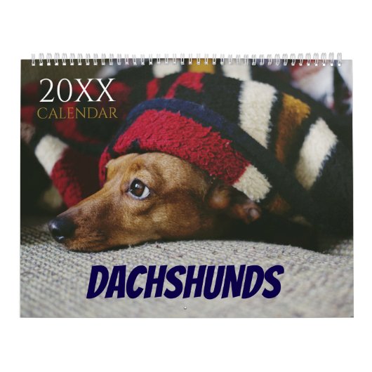 Dachshund Calendar Dog 2026 Photo Kalender (Hoes)